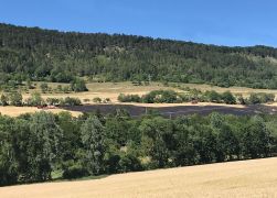 Flaechenbrand Bei Jena 020718 0001